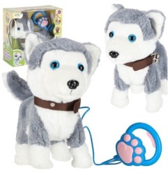 Piesek interaktywny na smyczy szczeka chodzi rusza ogonem Husky