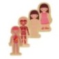 Puzzle drewniane warstwowe budowa ciała montessori dziewczynka