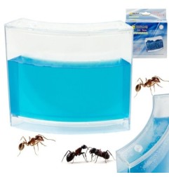 Akwarium edukacyjne żelowe dla mrówek